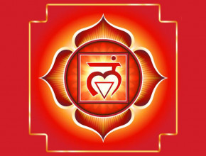 La radice : il primo chakra [Muladhara]